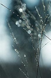 奇葩恐怖游戏《甘霖娘女巫》即将推出 用脏话驱魔